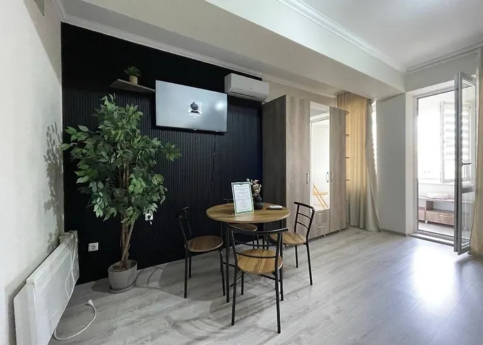 1 Room Apartment