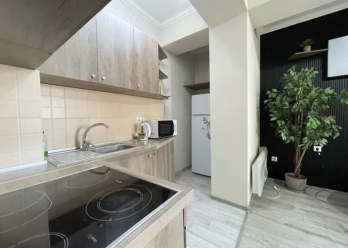 1 Room Apartment